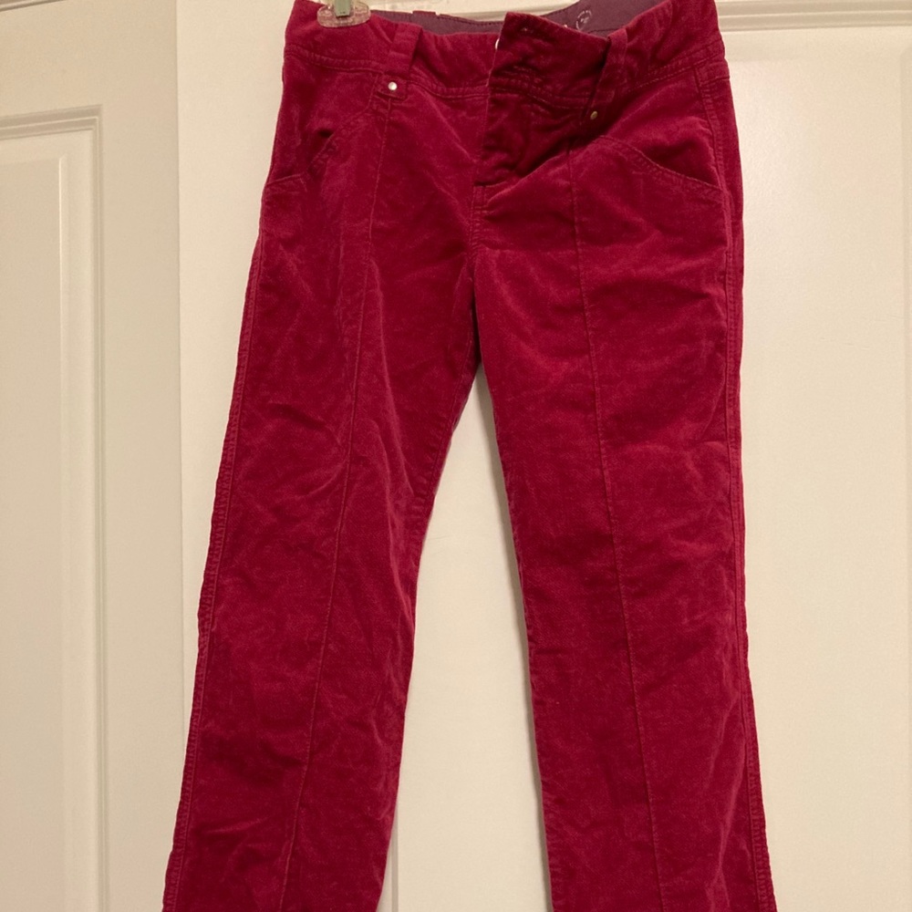 Daughters of the Liberation raspberry velvet pants